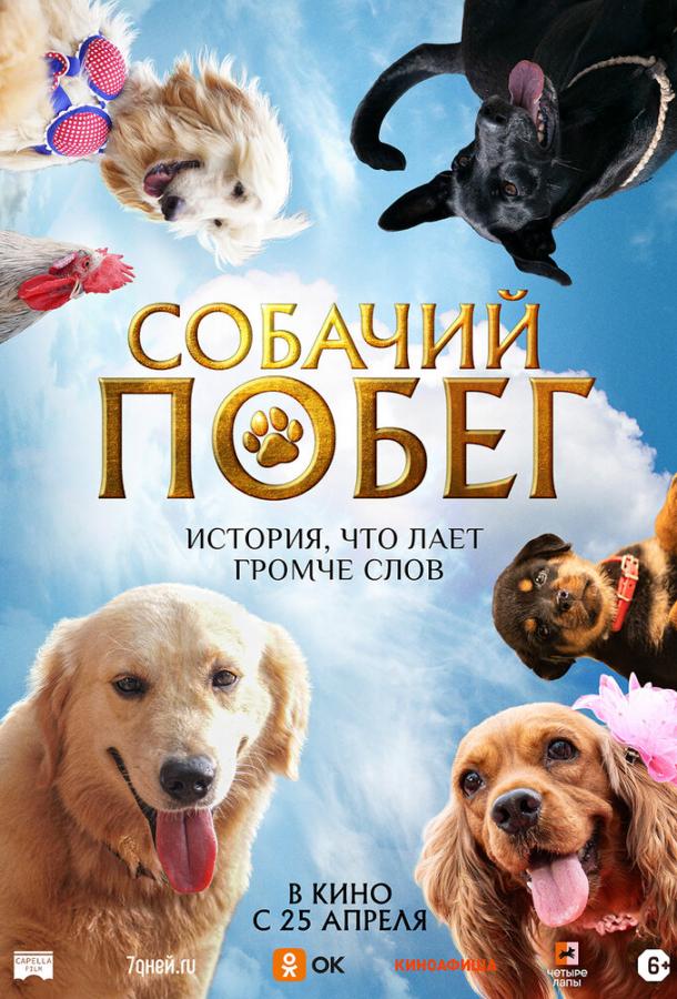 Фильм Собачий побег 2023 смотреть онлайн: Рошан Мэтью, Рагху Субхаш и другие